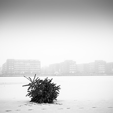 FAB_Shop_Vorschaubild_Weihnachtsbaum