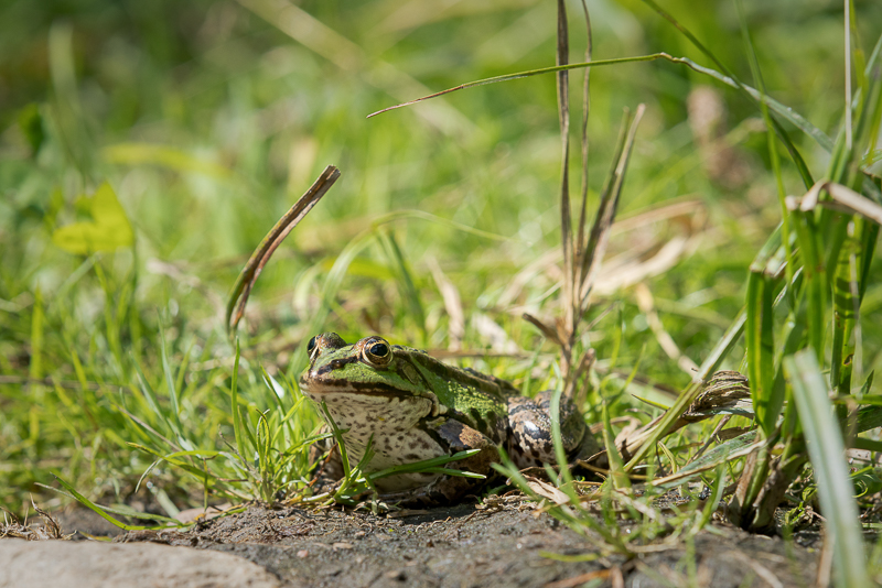 FAB_Blog_Bornholm_2016_38